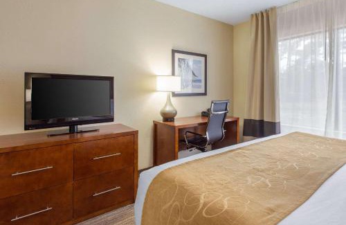 Southport Hotel | Comfort Suites Southport - Oak Island