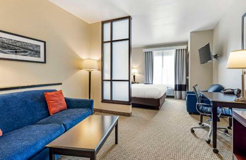 Palestine Hotel | Comfort Suites