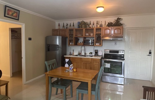 New Kingston Apartment | Comfy and Secure One Bedroom Apt- Sleeps 3!