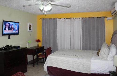New Kingston Apartment | Comfy, Central & Elegant Studio New Kingston