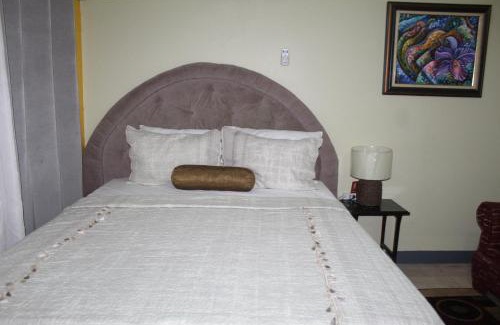 New Kingston Apartment | Comfy, Central & Elegant Studio New Kingston