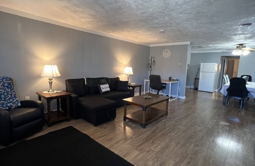 Mount Pleasant Apartment | Coming into town for any special event.Cozy spacious space with all your needs!