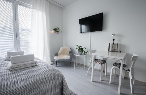 Oulu Apartment | Compact high quality top floor studio in perfect location