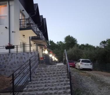 Oestii Paminteni House | Conacul Doamnei Nucșoara