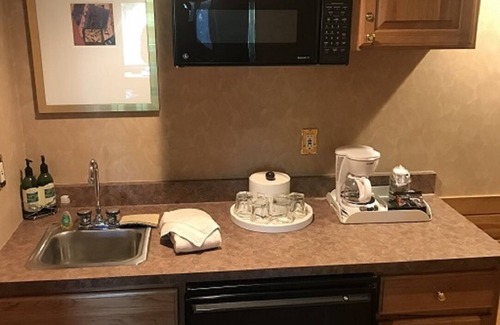 Gaylord Condo | Condo at Otsego Resort