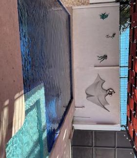 Bahia Kino House | ConVal beach house