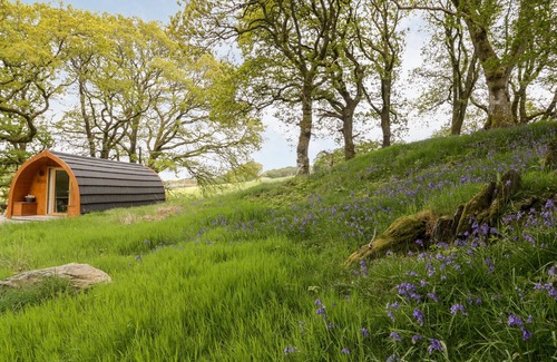 Gwynedd- Snowdonia Cottage | Conwy Pod