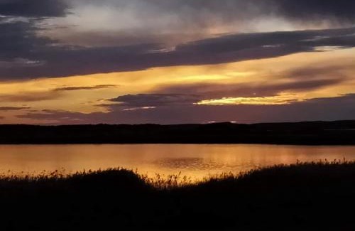 Bonney House | Coorong Island Retreat - Farm Stay at Pet Friendly Property