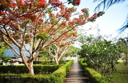 Tavewa Island Hotel | Coralview Island Resort