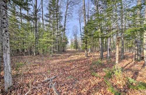 Cornell House | Cornell Home with Fire Pit and Hunting Access!