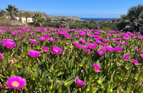 Gafares Villa | Cortijo Amara Agua