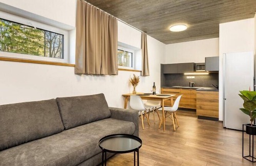 Cerna V Posumavi Apartment | COSTA PLANA Lipno