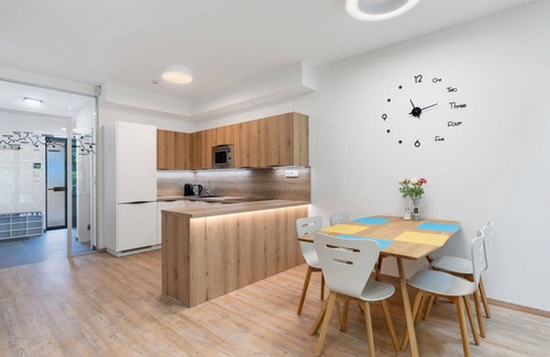 Janov nad Nisou Apartment | Cosy apartment for 6 people with WIFI, TV and terrace