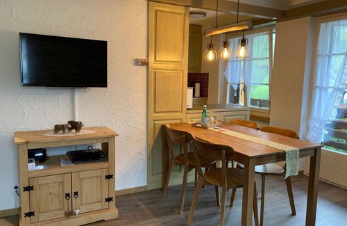 Ruedisbach Apartment | Cosy apartment for 4 guests with WIFI, TV, balcony and pets allowed