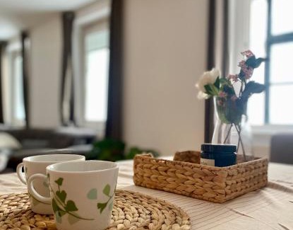 Neubau Apartment | Cosy apartment in a perfect location 1070 historical part of Vienna