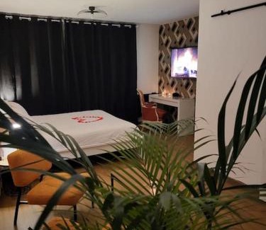 Marsannay-la-Cote Apartment | Cosy Corner - Appartement spa - Jacuzzi