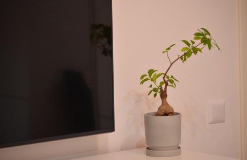 Vaslui Apartment | Cosy Studio