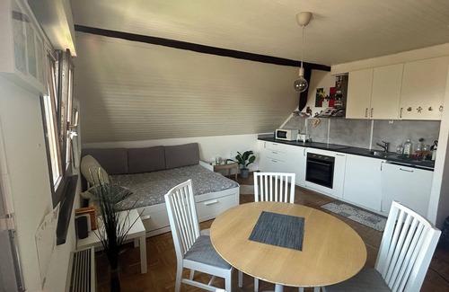 Arzier Apartment | Cosy studio with views of Lake Geneva and Mont Blanc