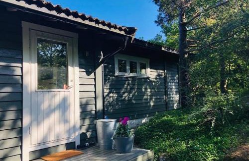 Lillesand House | Cottage, boat, spa, private dock, Lillesand