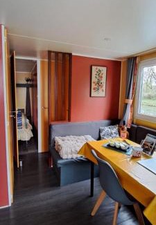 Saint-Jean-de-Losne Boat Rental | Cottage flottant Saint Jean de Losne option jacuzzi