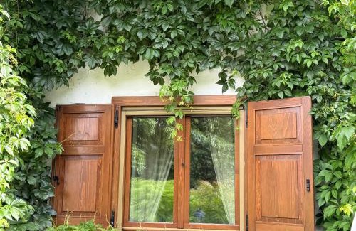 Lavis Apartment | cottage lavanda e rosmarino