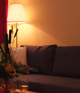 Draz House | Country House Baranjski Tulipan