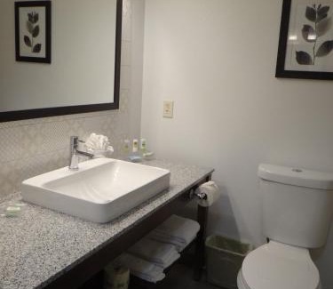 Salisbury Hotel | Country Inn & Suites by Radisson, Salisbury, MD