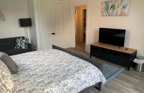 Wellington Apartment | County Cove - Picton Suite - downtown Wellington