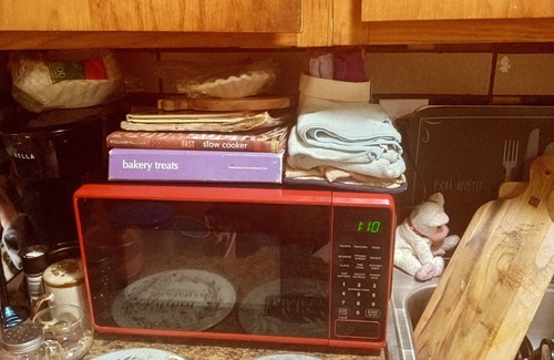 Germantown Apartment | Cozy 1-bedroom apt in enjoyable GERMANTOWN Philadelphia w AC,WiFi off LaSalle U.