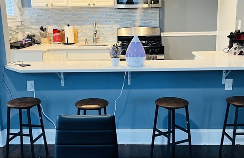 Irvington House | Cozy 2-Bedroom Home allows you work remotely or hybrid with Wi-Fi