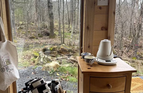 Keene Cabin | Cozy Adirondack Mountain Cottage with AC, WiFi