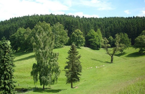 Oberveischede Apartment | Cozy Apartment in Bruchhausen with Terrace
