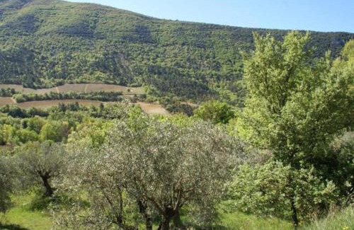 Montbrun-les-Bains Apartment | Cozy Apartment with Swimming Pool, Terrace, Garden, Parking