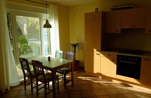 Horne House | Cozy apartment with a winter garden, fireplace and grill terrace .