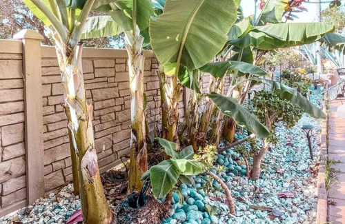 La Conchita Villa | Cozy beach home walking distance from ocean