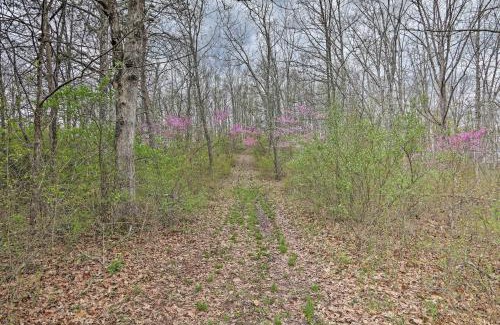 Bidwell House | Cozy Bidwell Cabin with Deck Trail and Creek Access!