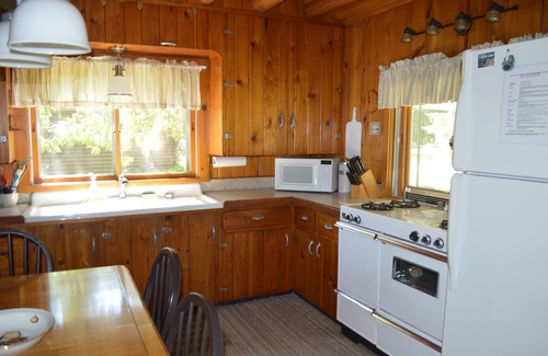 Burt Lake Cottage | Cozy Burt Lake Waterfront Cottage
