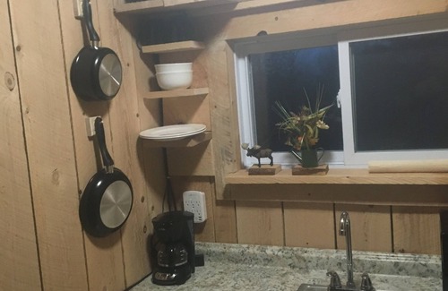 East Durham Cabin | Cozy cabin in the Mountains. nAC. Dog Friendly