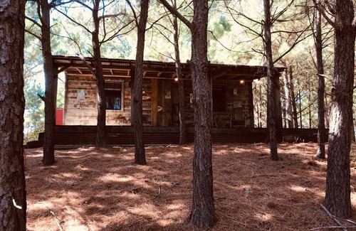 Eustace Cabin | Cozy Cabin in the woods at Bluegill Lake Cabins