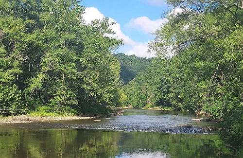 Distant Cabin | Cozy cabin nestled in the valley of the Mahoning Creek