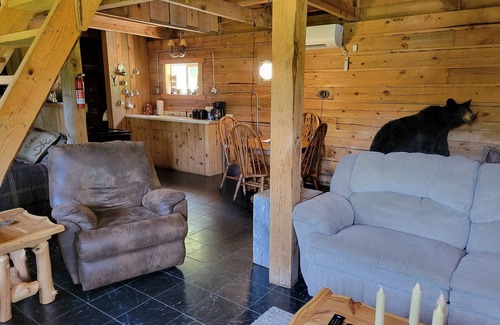 Brixey Cabin | Cozy cabin retreat close to kayaking and hiking trails.