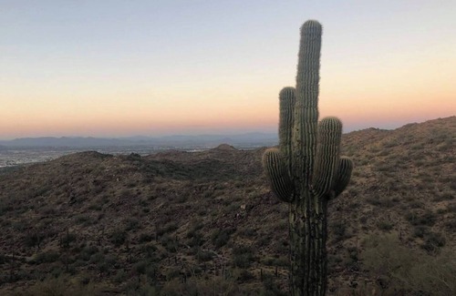 South Mountain House | Cozy Casita w/Private Entrance; 15 minutes to Central Phoenix and Airport