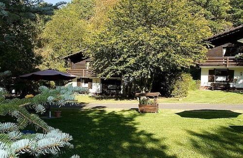 Schoenecken Ski Chalet | Cozy chalet with fireplace located in wooded area