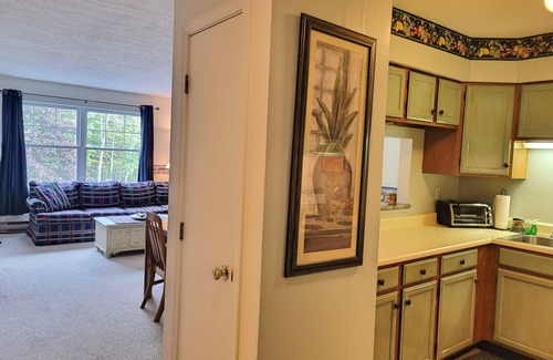 North Woodstock Condo | Cozy, close to town, shops/dining. TV/DVD, AC, pet-friendly. AL118 by LRS