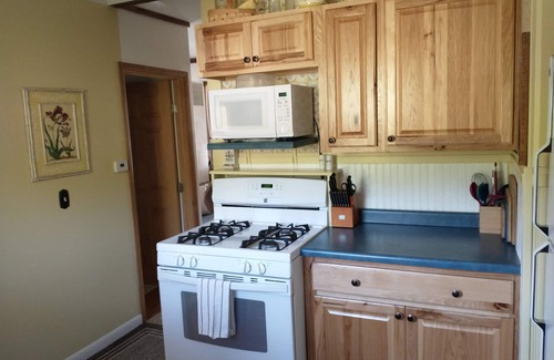 Nederland Cabin | Cozy & Comfortable 1BD Cabin In Nederland ~ Walk to Downtown, Trails & RTD Bus