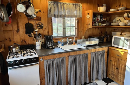 Bristol Cottage | Cozy, lodge-style cottage in wooded, quiet lakeside neighborhood