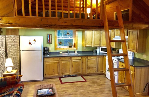 Nelson Cabin | Cozy Log Cabin in Pristine Nature