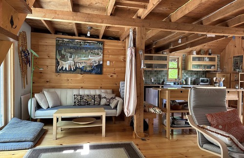 Wilmot Cabin | Cozy Modern Cabin on Sunapee Ragged Kearsarge Greenway Trail. Hikers & Artists!