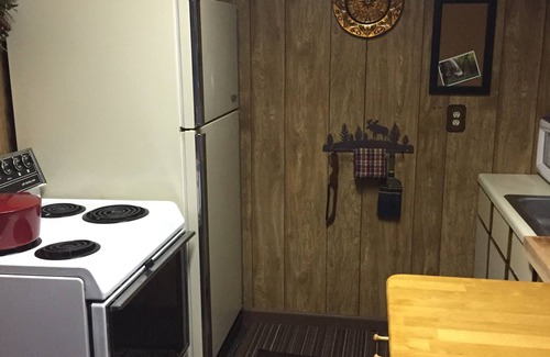 Canton Cabin | Cozy Mountainside Cabin 3400' Near Asheville NC