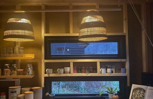 Denver Cabin | Cozy Off-grid Cabins in beautiful Denver, NY, Catskills with WiFi - Sleeps 4